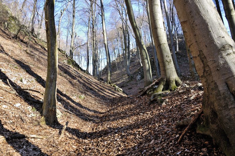 In Physical Geography A Dell Is A Small Secluded Hollow implying in-physical-geography-a-dell-is-a-small-secluded-hollow-implying