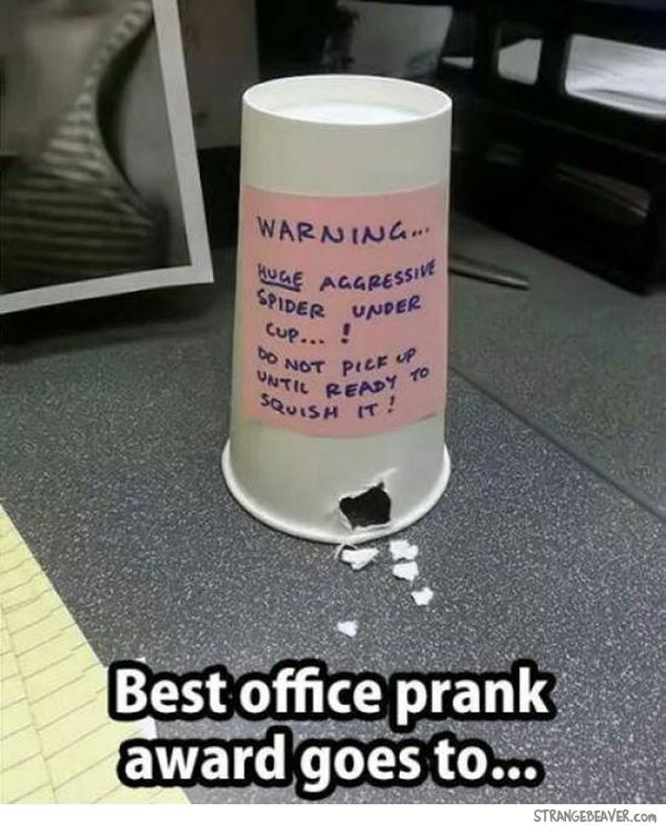 Latest Funny Pranks Funny And Simple April Fool's Day Pranks 8 Latest Funny Pranks Funny And Simple April Fool's Day Pranks 8