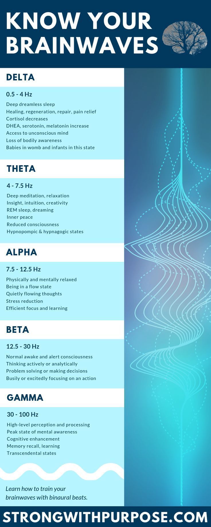 The Science of Brainwaves & Binaural Beats | Strong with Purpose | Healing & Intuitive Living