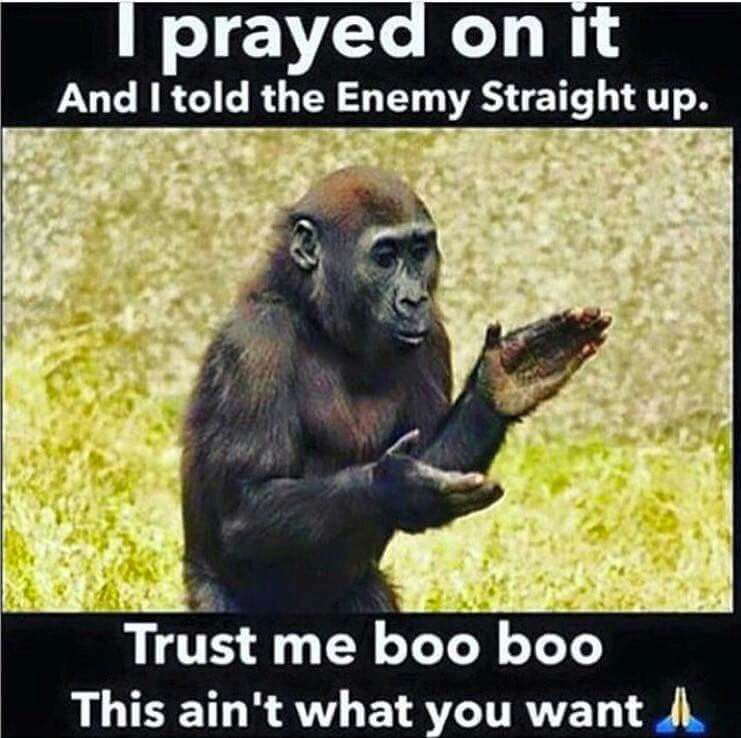 You Dont Want None Of This Dewey You don't want none of this* : ) Me Quotes, Funny Quotes, Funny Memes