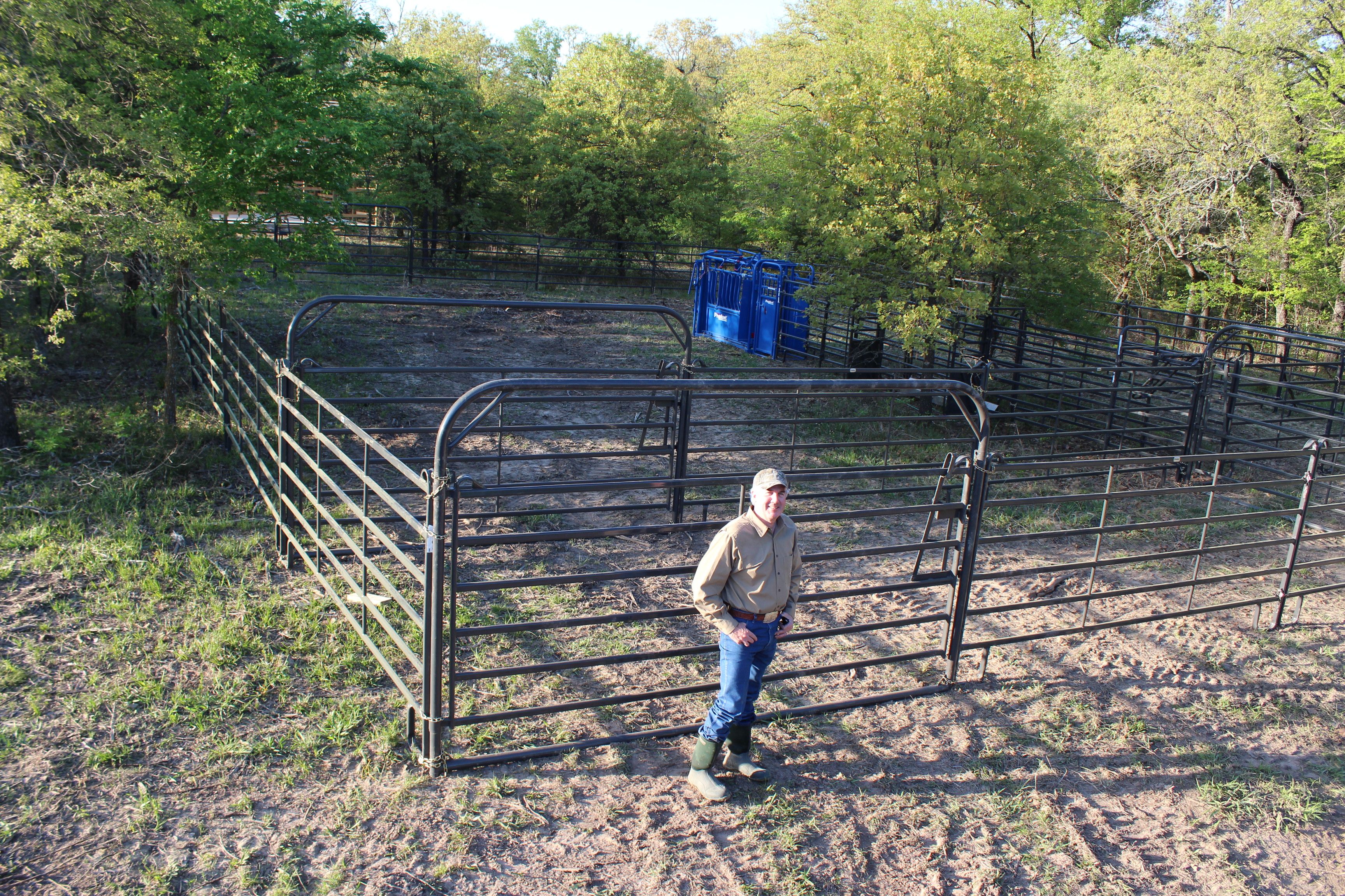 Our New Cattle Pens The Bud Box New Pen Fence Gate Home our-new-cattle-pens-the-bud-box-new-pen-fence-gate-home