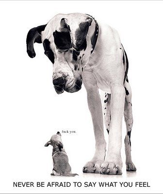 Never Be Afraid To Speak Up Baby Dogs Animals Beautiful Cute