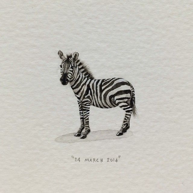 Day 83 : Saxenburg Wine Estate doubles as a mini game park. Bontebok, zebras and springboks graze the 35 hectare park. 23 x 27 mm. #365postcardsforants #miniature #watercolour #wdc624 #zebra... Mini Drawings, Animal Drawings, Art Drawings, Miniature Art, Miniature Painting, Mini Paintings, Animal Paintings, Illustrations, Illustration Art
