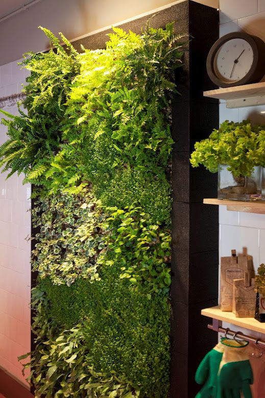 jardín vertical interior Barcelona cocina muro verde jardines - jardineras verticales jardín vertical interior Barcelona cocina muro verde jardines - jardineras verticales