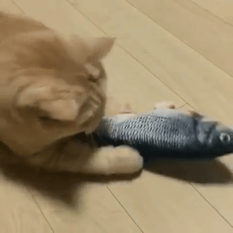 REALISTIC MOVING FISH CAT TOY | Fish cat toy, Cat toys, Cats