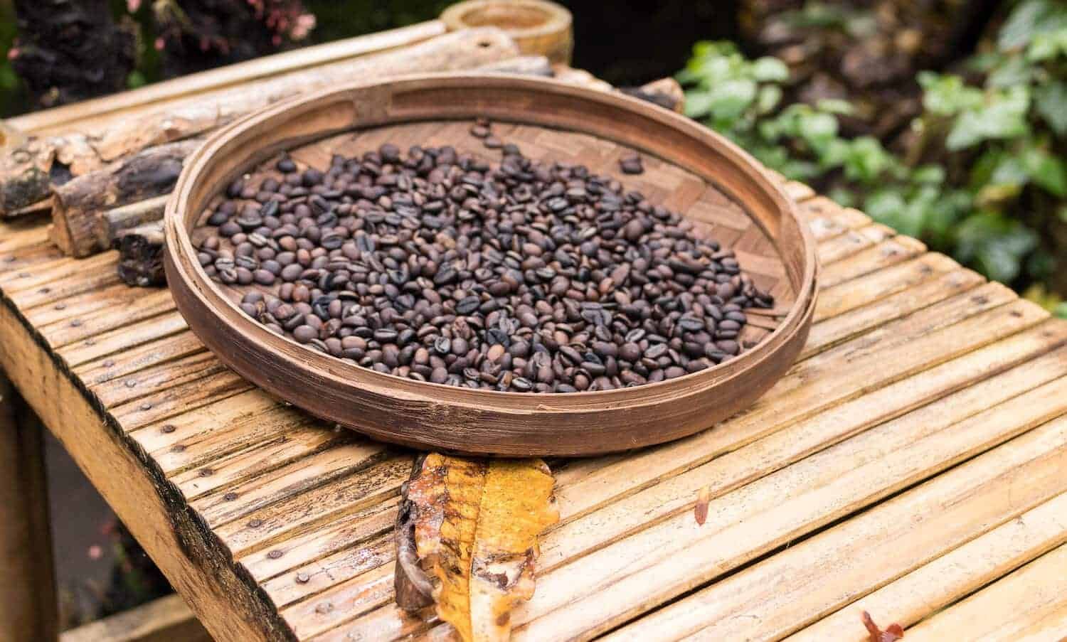 Why Is Coffee Called Java Colloquial Coffee Synonyms Coffee Tastes Better Growing Coffee Coffee Plant