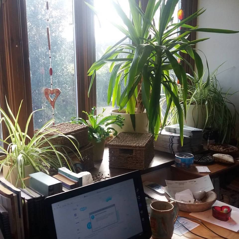 A room with a view essay