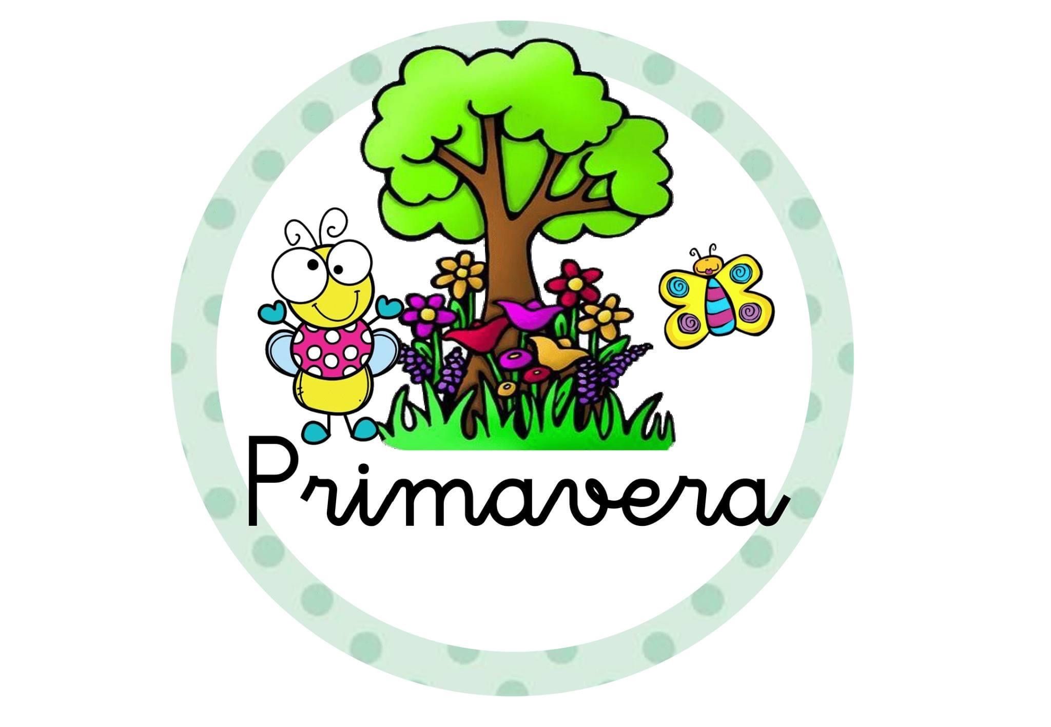 Pin En Colegi max-store-cairo