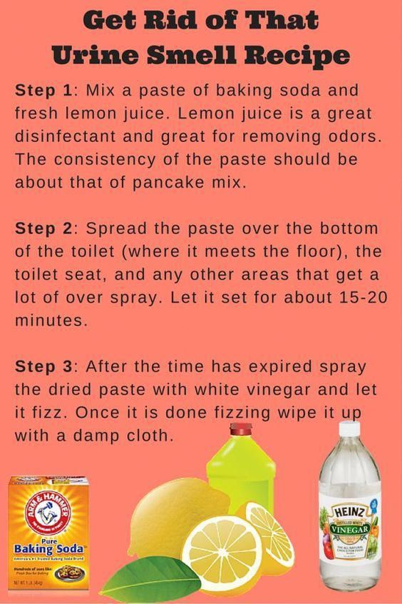 You will love these Toilet Cleaning Tips and Tricks including Toilet Bombs and how to get rid of that urine smell. Check out all the ideas now. Toilet Cleaning Hacks, Deep Cleaning Tips, Household Cleaning Tips, House Cleaning Tips, Natural Cleaning Products, Spring Cleaning, Bathroom Cleaning, Start Cleaning, Cleaning Recipes