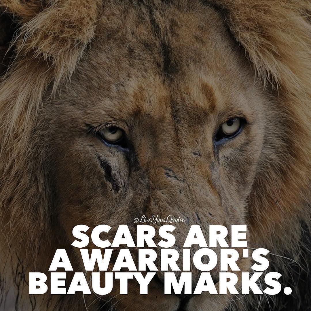 Instagram Photo By Live Your Quotes Jul 16 2016 At 7 59am UTC instagram-photo-by-live-your-quotes-jul-16-2016-at-7-59am-utc