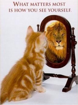 What Are You Today A Lion Or A Pussycat What Are You Today A Lion Or A Pussycat