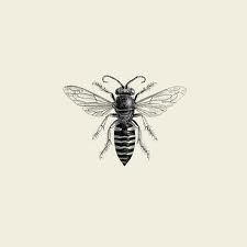 old fashioned bee google