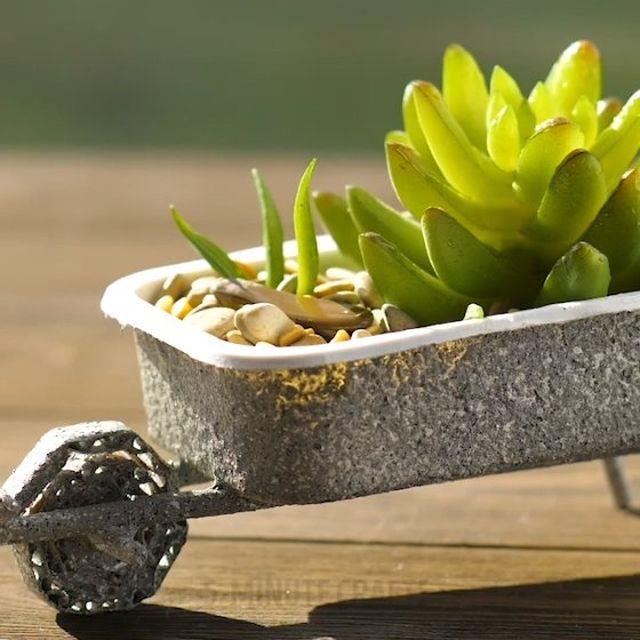 5Minute Crafts on Instagram “Great DIY succulent planting ideas. 🌵