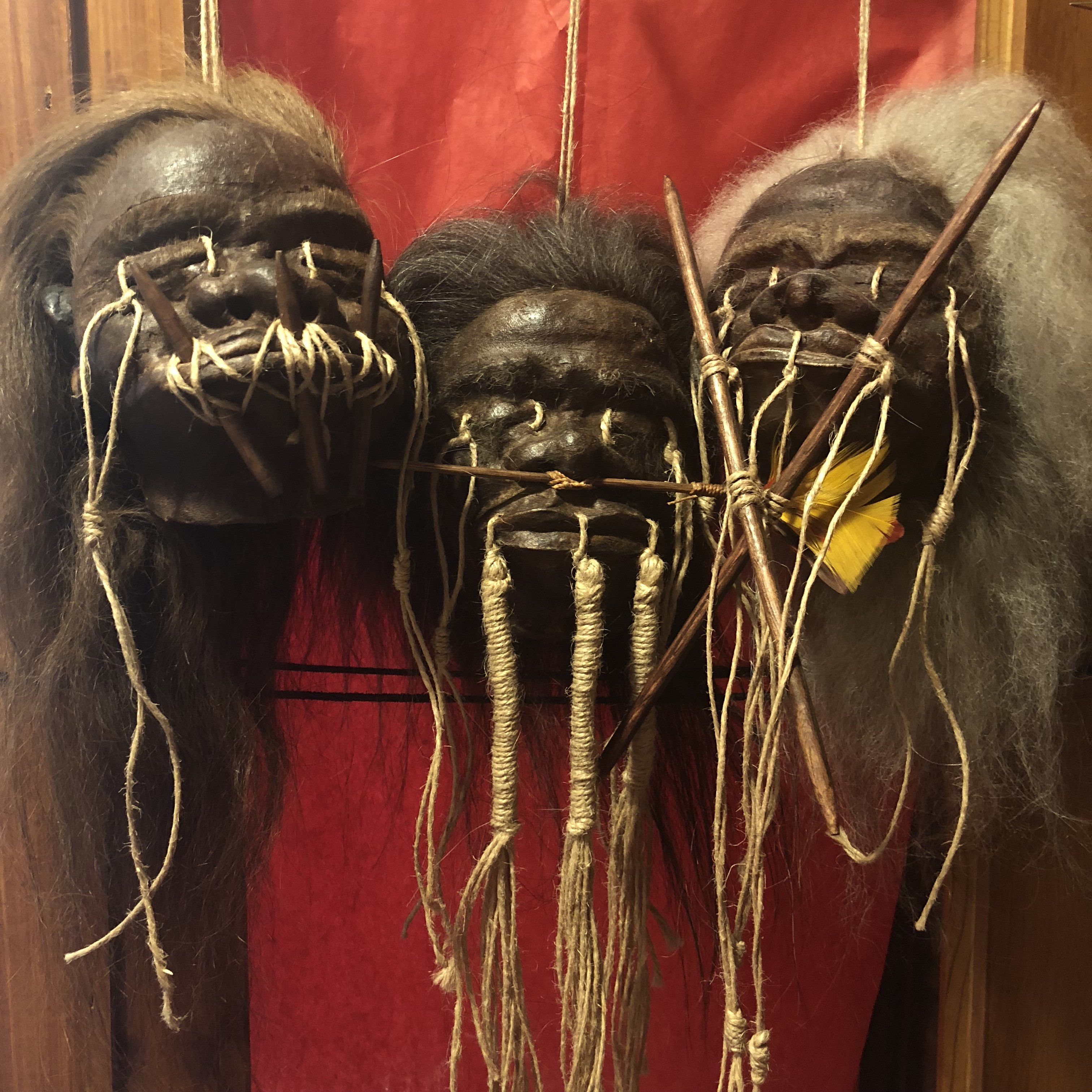 Shrunken Heads Museum Quality Shrunken Head Museum Headed