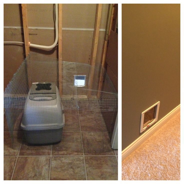 Pin By Dekoration Mobel On Heathy Food In 2020 Litter Bo Cat Door Pet Installation - Litter Box In Unfinished Basement Pin By Dekoration Mobel On Heathy Food In 2020 Litter Bo Cat Door Pet Installation - Litter Box In Unfinished Basement