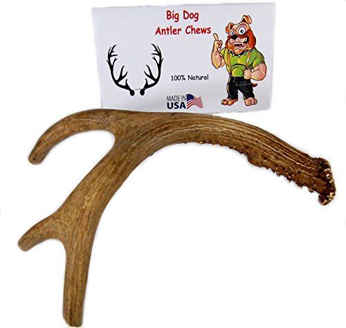 Dog Bones Deer Antler Dog Chew Medium 9 Inches To 13 Inches Long