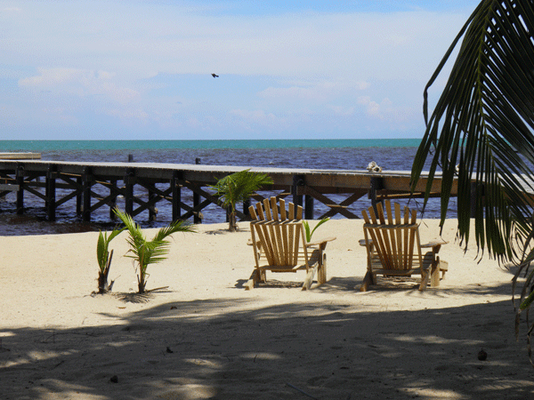 You Could Be Here Sabal Beach Punta Negra Belize Grounds At Sabal Beach Punta Negra Belize