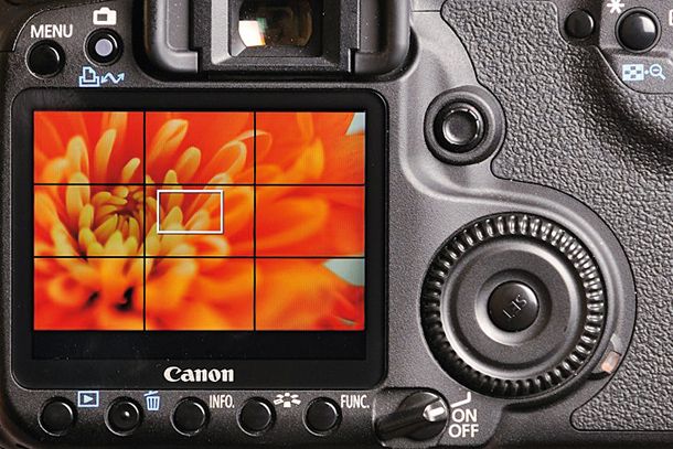 The 10 best mirrorless cameras in 2018 | Macro | Macro