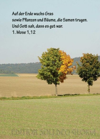 Mose Schopfung Baume Bibel A La Carte Christliche Karten Mose Schopfung Baume Bibel A La Carte Christliche Karten