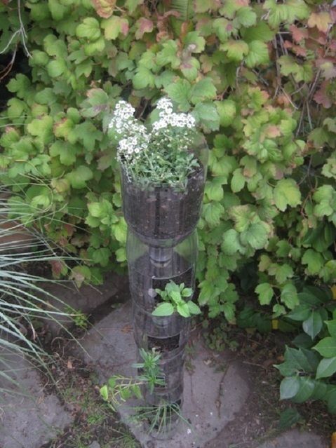 Come realizzare un giardino verticale con le bottiglie di plastica ... Come costruire un giardino verticale