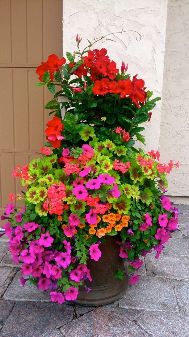 Cascading Planter 15 | Front porch flowers, Porch flowers, Container
