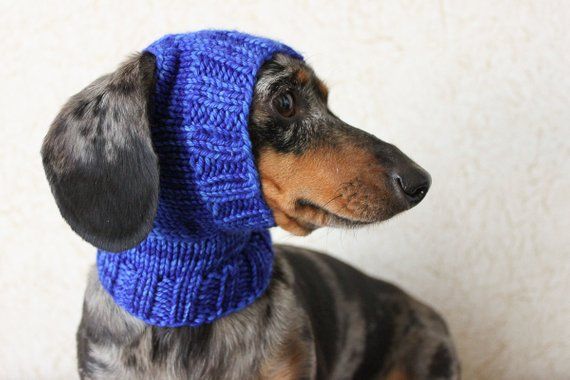 KNITTING PATTERN Mini Dachshund Dog Hat Small Dog Hat Dog Clothes Classy Dog Hat Knitting Pattern KNITTING PATTERN Mini Dachshund Dog Hat Small Dog Hat Dog Clothes Classy Dog Hat Knitting Pattern