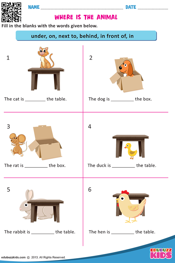 Where is the Animal