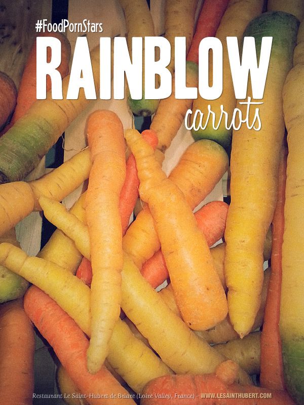 'Rainblow Carrots', New Stars & New spirit in Food Porn. Featuring organic Rainbow Carrots. #FoodPorn #FoodPornStars #RainbowCarrot. © Restaurant Le Saint-Hubert de Briare (Loire Valley, France) Loire Valley, Rainbow Carrots, Funny Posters, Restaurant, New Star, Francois, Food Photography, Food Porn, Spirit