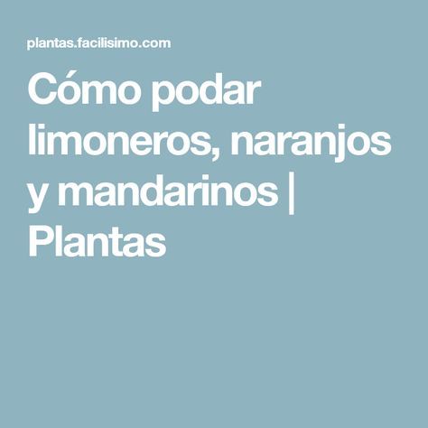 Cómo Podar Limoneros Naranjos Y Mandarinos Plantas Tips Vegetable Garden Flora