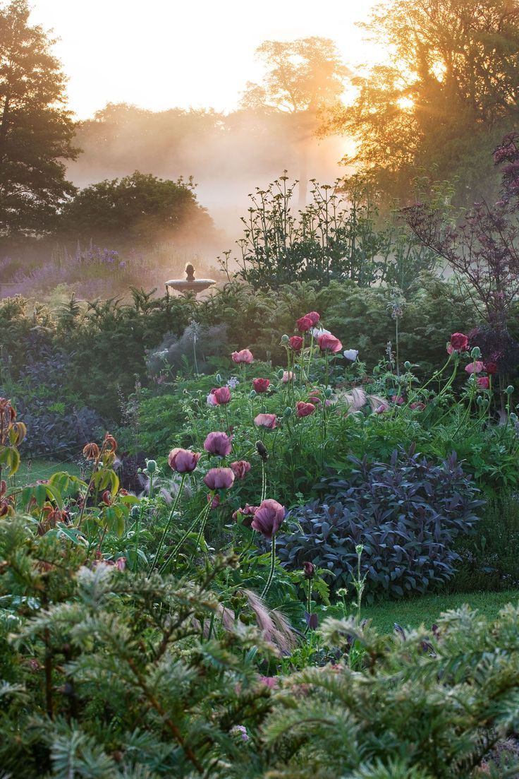 Clive Nichols 'Britain's Best Garden Photographer