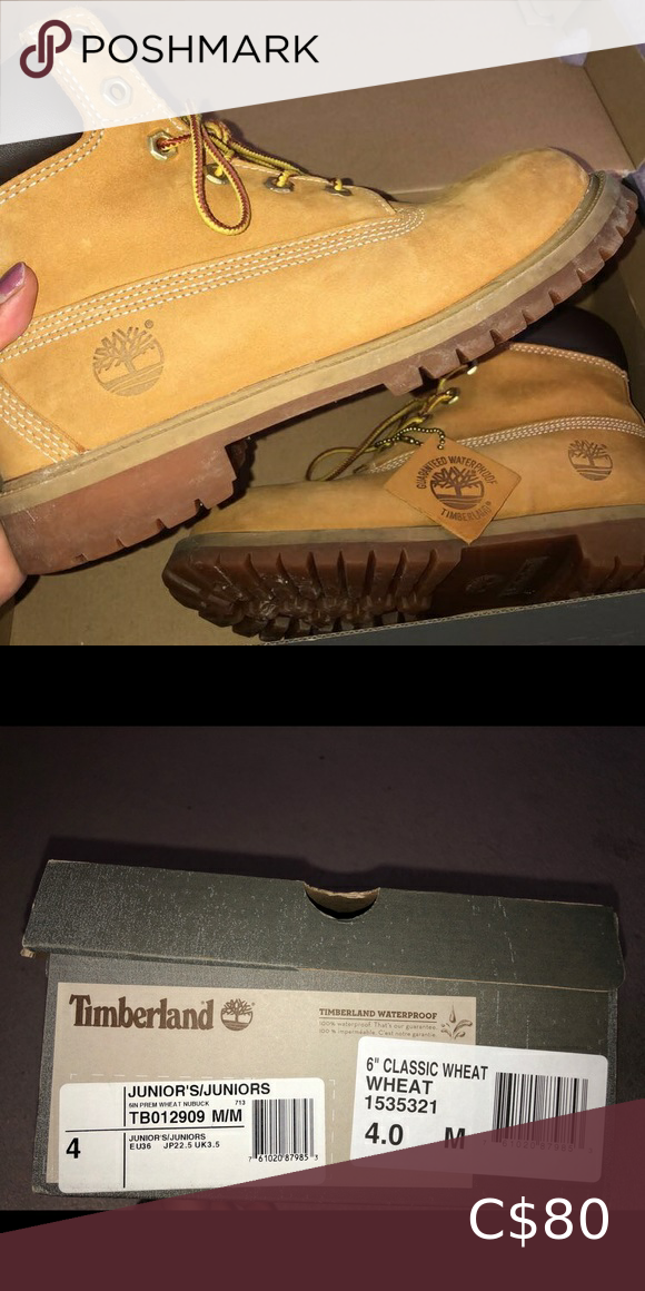Timberland 6â Classic Boots in Wheat 6â Classic Wheat Timberlands. In 8/10 condition, lightly