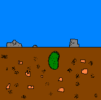 Germinacion | Germinacion, Semillas, Huerto jardin