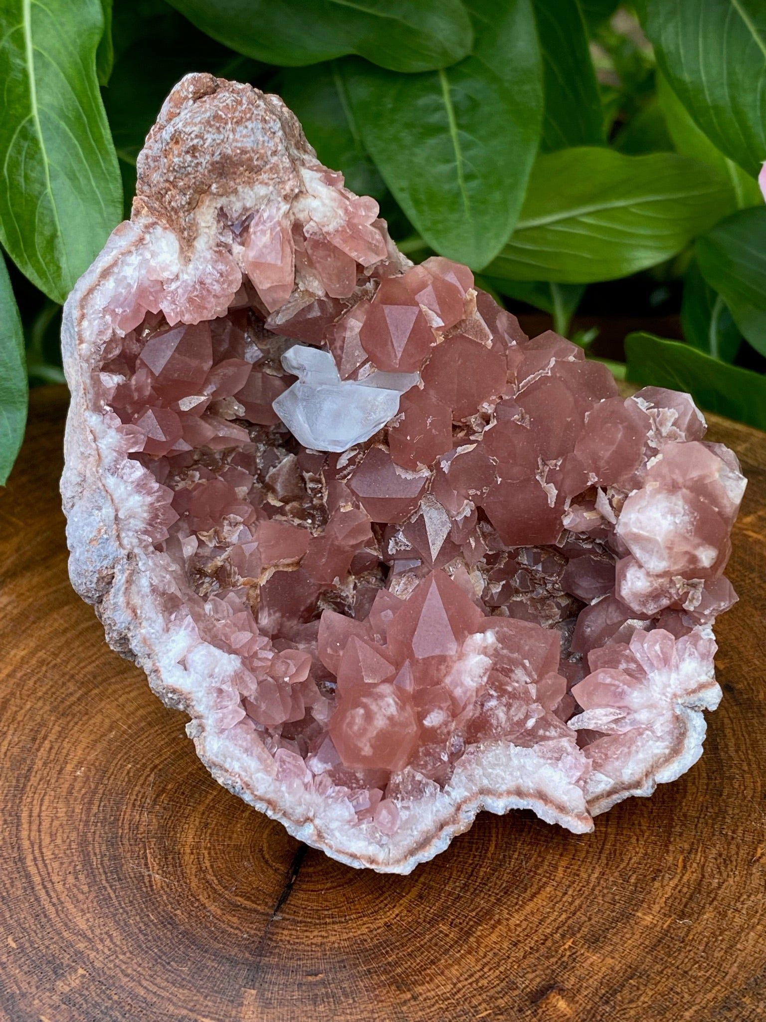 Specializing in the highest quality Pink Amethyst Crystal Geodes available. Beautiful deep Pink Amethyst Crystals with surfaces that range from slighthy frosted to shiny and lustous. The nearly water clear high quality,water clear calcite crystals are an awesome embellishment and contrast to the Pink Amethyst. Measure Amethyst Geode, Calcite Crystal, Pink Amethyst, Pink Quartz, Raw Crystal, Crystal Items, Quartz Geode, Crystals Minerals, Rocks And Minerals