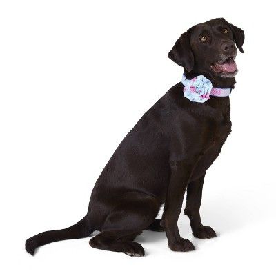 Patchwork Whale Collar Slide Pet Rosette Pink Blue One Size