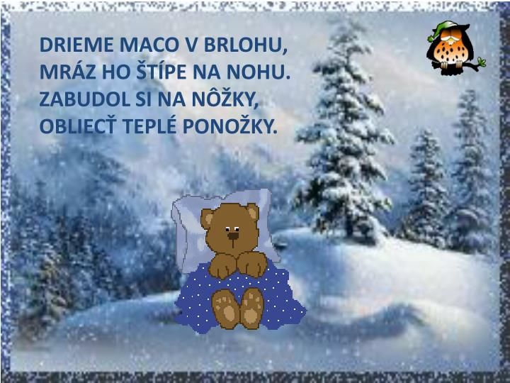 PPT - ZVIERATKÁ Z LESA A VTÁČIKY ZO ZÁHRADY V ZIME PowerPoint Presentation - ID:4632871 Easy Craft Projects, Special Needs Kids, Bambi, Winnie The Pooh, Disney Characters, Fictional Characters, Preschool, Xmas, Teddy Bear