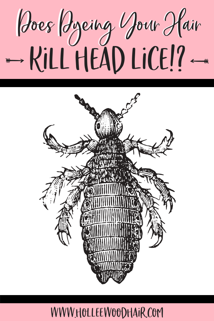 does hair color kill head lice prevent head does hair dye kill head lice read this super interesting article about lice and how to them for good hair hairfacts hairtips interesting hair dye kill head lice everything pinterest dyed does hair color kill head lice prevent head does hair dye kill head lice read this super interesting article about lice and how to them for good hair hairfacts hairtips interesting hair dye kill head lice everything pinterest dyed