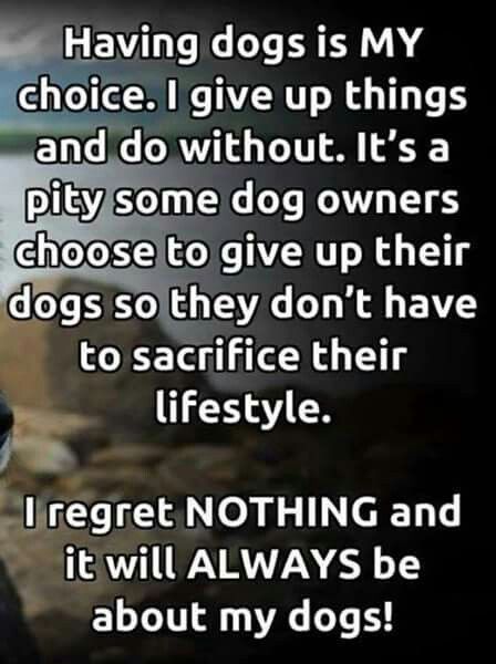 HELL YEAH I Love My Babies And They Will Never Go Without Or Ever Gorgeous I Love My Dog Quotes HELL YEAH I Love My Babies And They Will Never Go Without Or Ever Gorgeous I Love My Dog Quotes