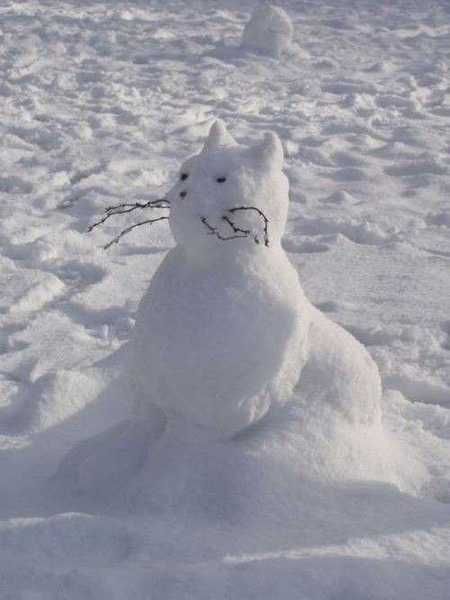 pix Cat Snowman Ideas cute backyard ideas for winter