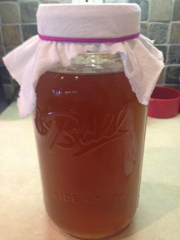 Amy Benard Webster Cooks The Kombucha Project Kombucha Fermented Tea Projects