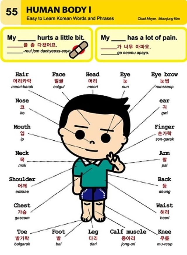 Korean learning korean language