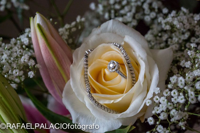 47 Ideas De Anillos De Boda Y Compromiso Casa De La Novia Anillos De Boda Boda