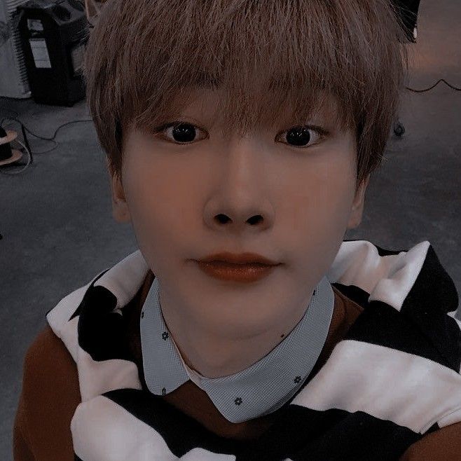 verivery hoyoung bae hoyoung icon verivery hoyoung bae hoyoung icon