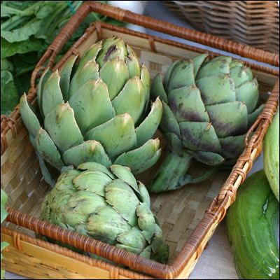Agua de alcachofa para adelgazar receta