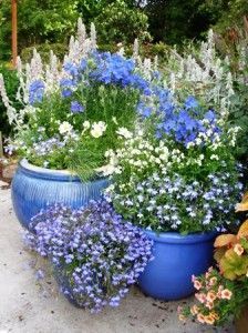 Cool Garden In A Pot Plants Container Gardening Garden