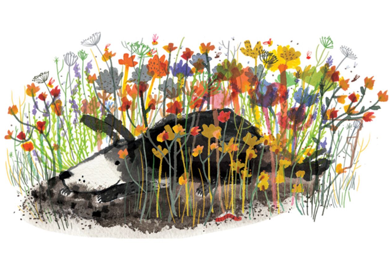 Faith The Agent Of Change Illustration Art Plant Illustration