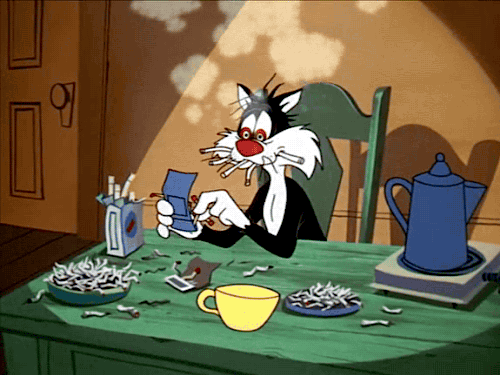 New trending GIF on Giphy. cat coffee. Follow Me