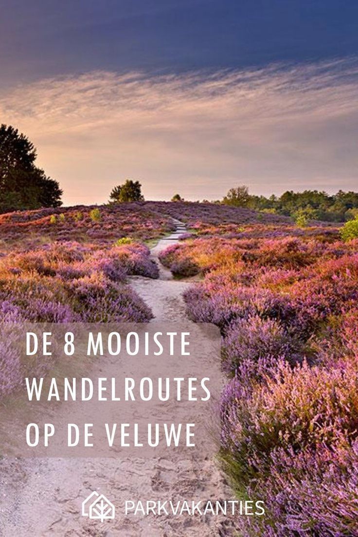 Waar wandelen op de Veluwe? → 8x Wandelroutes + tips!