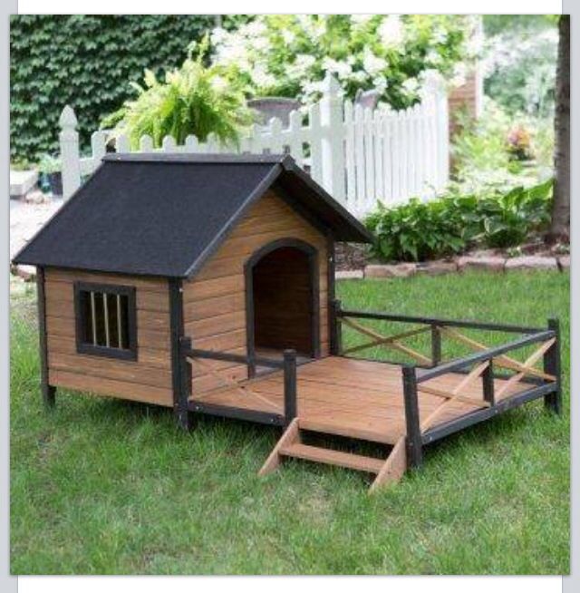 Boomer George Lodge Dog House With Porch Large Dog House