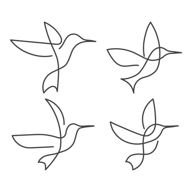 Best Continuous Line Drawing Bird Illustrations, Royalty Best Continuous Line Drawing Bird Illustrations, Royalty