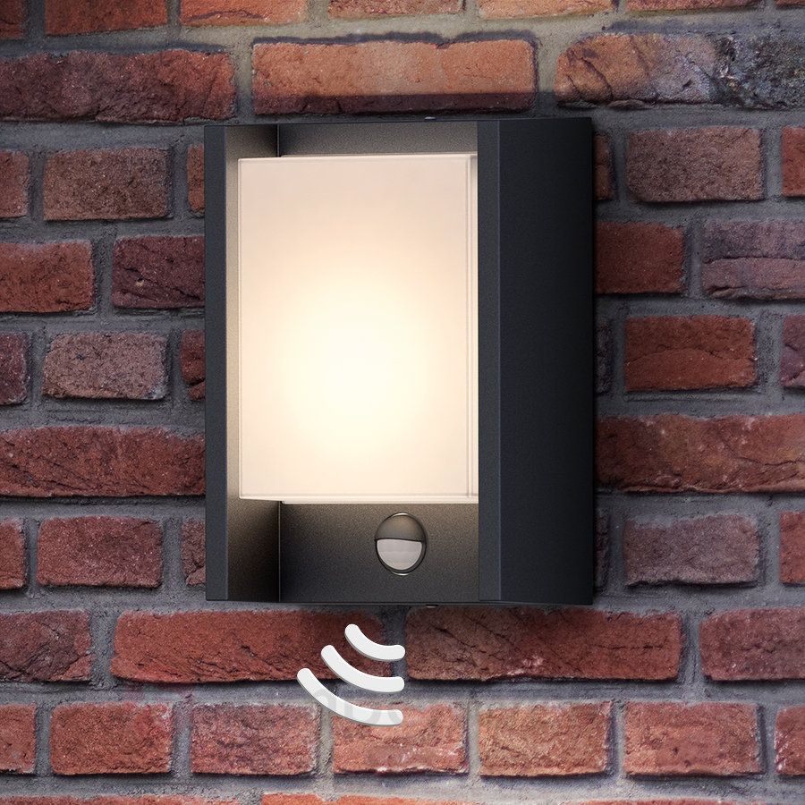 Philips Mygarden Raccoon Led Outdoor Wall Light Anthracite Grey Philips Mygarden Raccoon Led Outdoor Wall Light Anthracite Grey Lights Lighting
